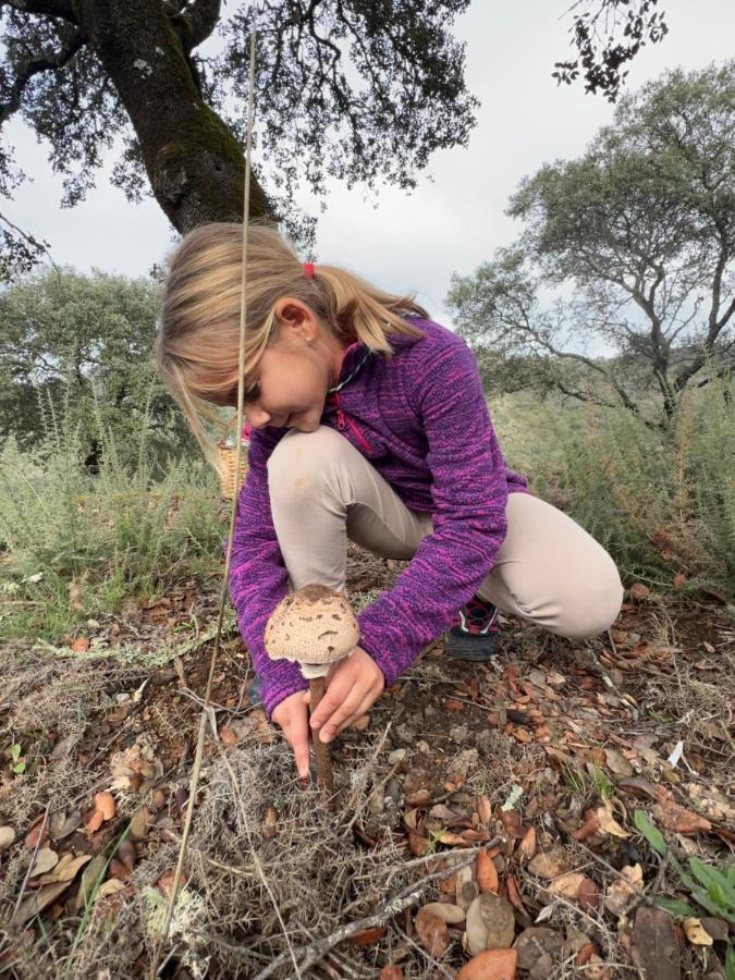 Nature Space Jabugo Eksteriør billede